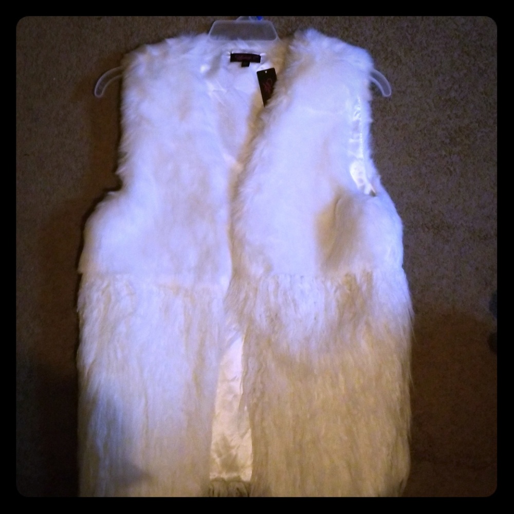Winter Vest